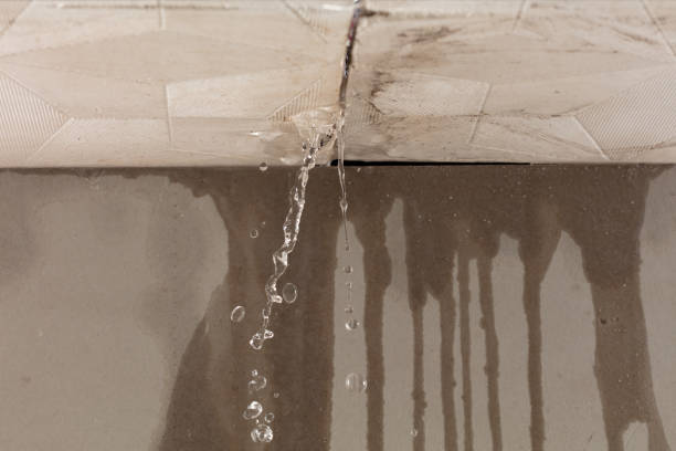 Professional Sewage Cleanup technician working in Newtown, OH